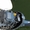 Катер YAMAHA  SUNFIELDER -21 2000год 4 тактный мотор YAMAHA от MARINZIP.RU - Изображение #2, Объявление #492161