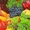Продаём овощи и фурукты оптом и в розницу с доставкой - Изображение #7, Объявление #788267