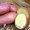 Продаём картошки оптом в Хабаровске с доставкой - Изображение #5, Объявление #975324