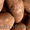 Продаём картошки оптом в Хабаровске с доставкой