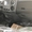 Сортиментовозы Урал NEXT с манипуляторами от завода - Изображение #6, Объявление #1683877