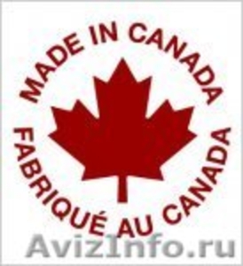 Автомасла и смазки Petro-Canada. Масла покорившие Север! 99,9% чистоты! - Изображение #2, Объявление #100271