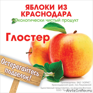 Экологически чистые яблоки из Краснодара - Изображение #2, Объявление #744372