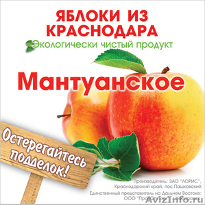 Экологически чистые яблоки из Краснодара - Изображение #3, Объявление #744372