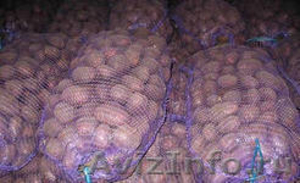 Продаём картошки оптом в Хабаровске с доставкой - Изображение #2, Объявление #975324
